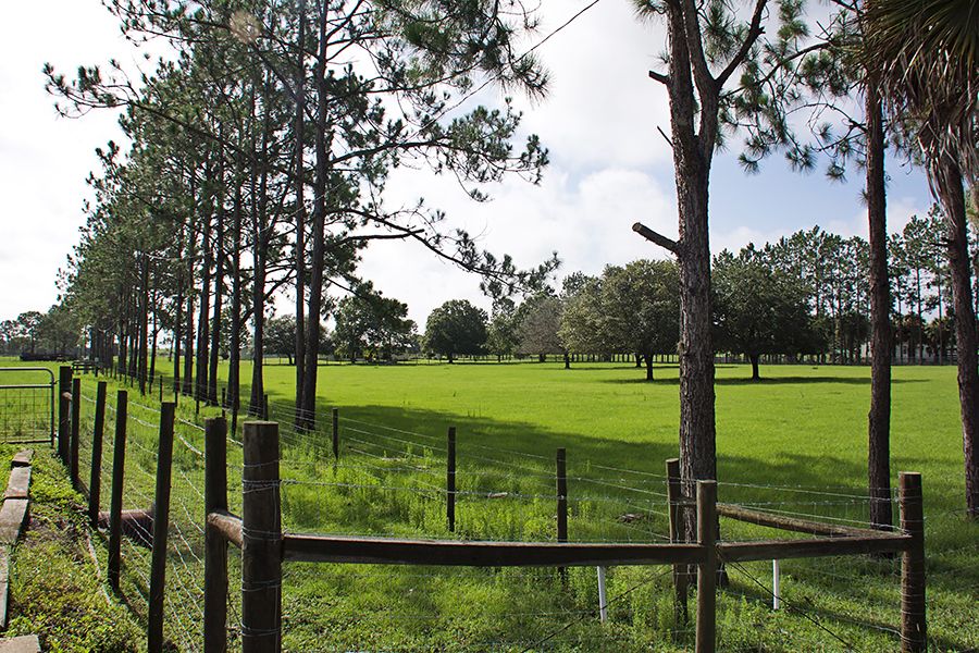 3375 Anderson Rd, Mulberry, FL 33860